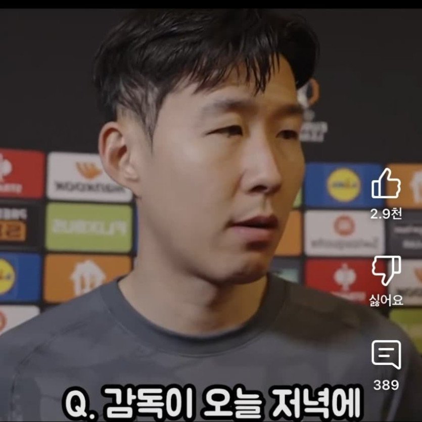 먹튀컴배트ㅣ손흥민 다운펌